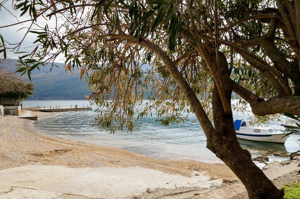 Apartment Begonia Of Kumbor Herceg Novi Exterior photo